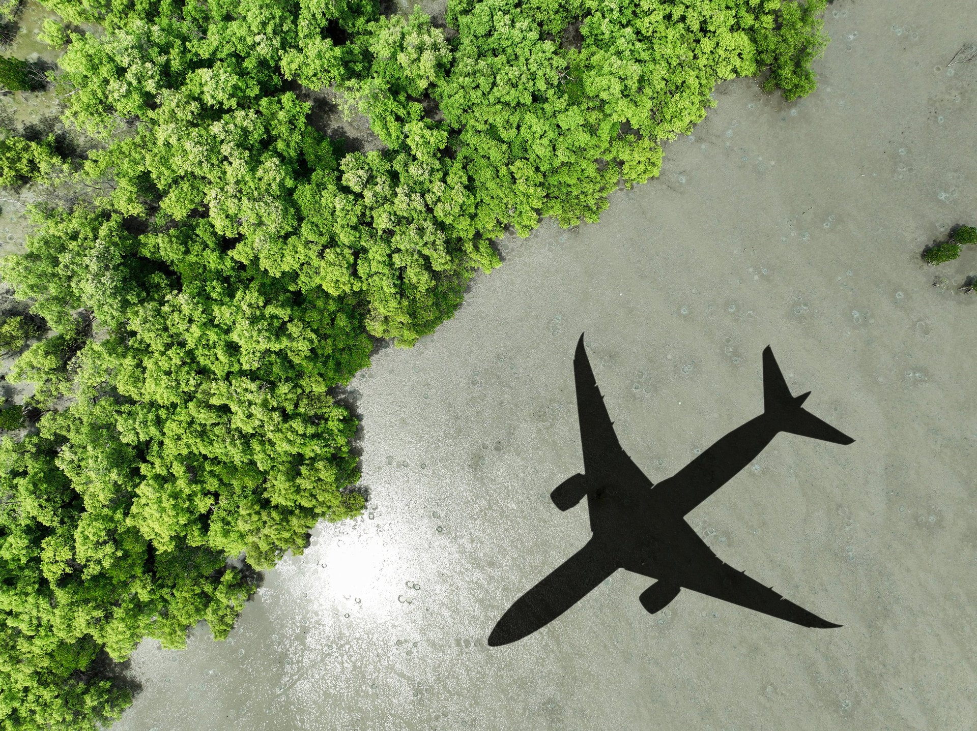 Sustainable aviation over mangroves